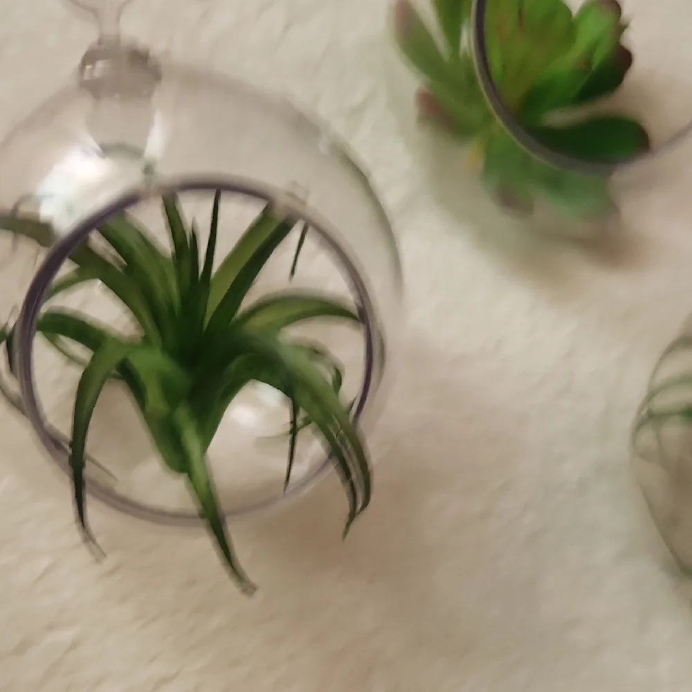 Green Succulent Glass Ornaments
